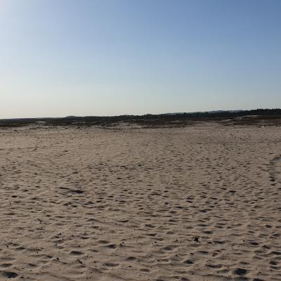 BŁĘDÓW KLUCZE CHECHŁO - PUSTYNIA BŁĘDOWSKA