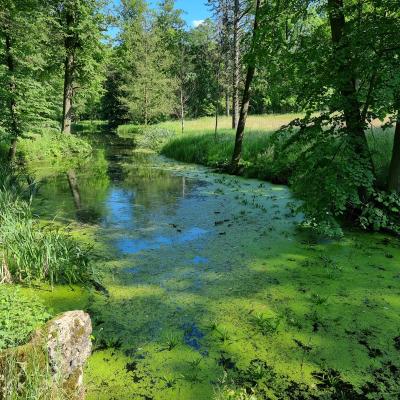 Slop.org.pl Dabrowa Gornicza Park Swierklaniec 01