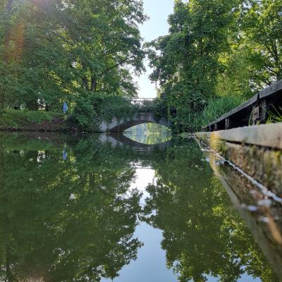 Slop.org.pl Dabrowa Gornicza Park Swierklaniec 02