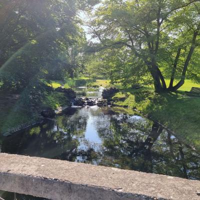 Slop.org.pl Dabrowa Gornicza Park Swierklaniec 03