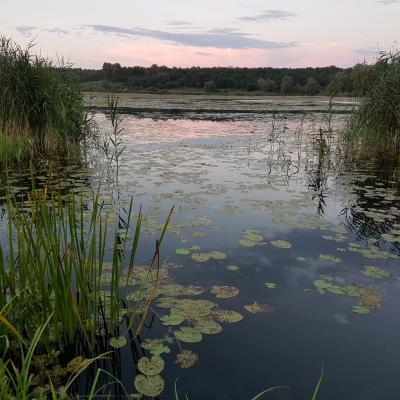 DĄBROWA GÓRNICZA - JEZIORO POGORIA 2