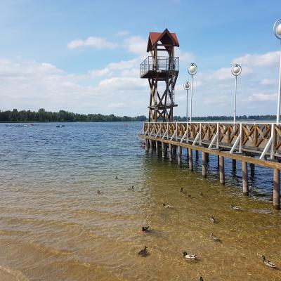 Slop.org.pl Dabrowa Gornicza Jezioro Pogoria 3 01