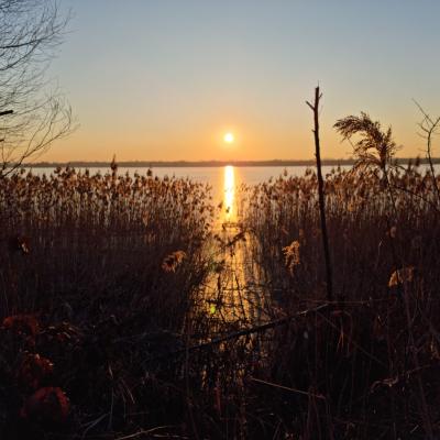 Slop.org.pl Dabrowa Gornicza Jezioro Pogoria 3 11