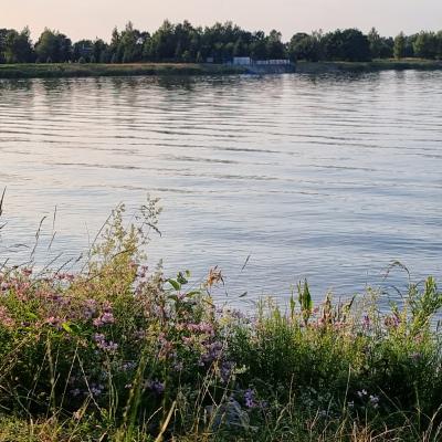 Slop.org.pl Dabrowa Gornicza Jezioro Pogoria 4 01